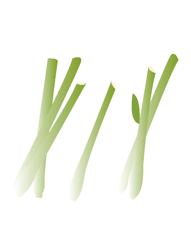 Illustration of Lemongrass